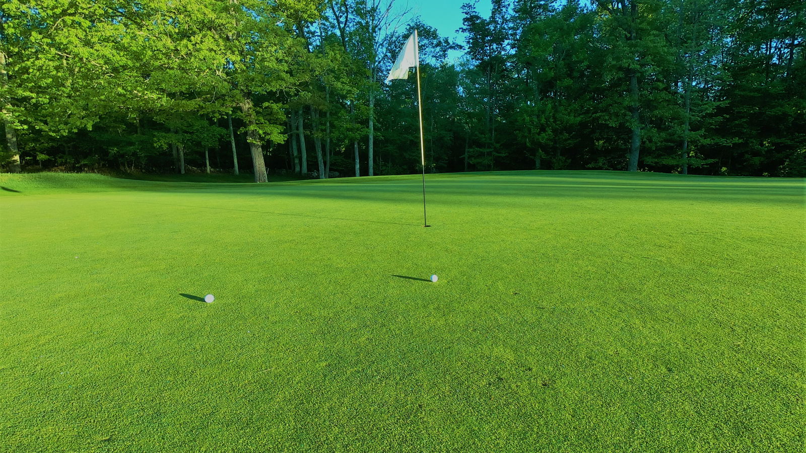 Parliament to consider whether golf courses can remain open during lockdown